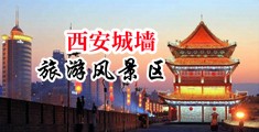 看孕妇撒尿一级黄片中国陕西-西安城墙旅游风景区